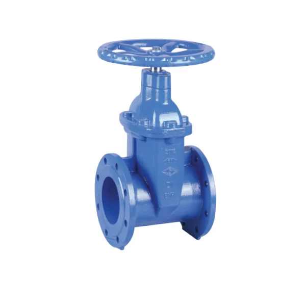 BS 5163 Resilient NRS Gate Valve PN25