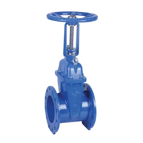 BS 5163 Resilient OS & Y Gate Valve
