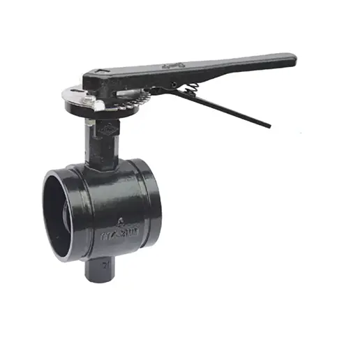 BS EN 593 Valve de papillon rainuré avec long cou